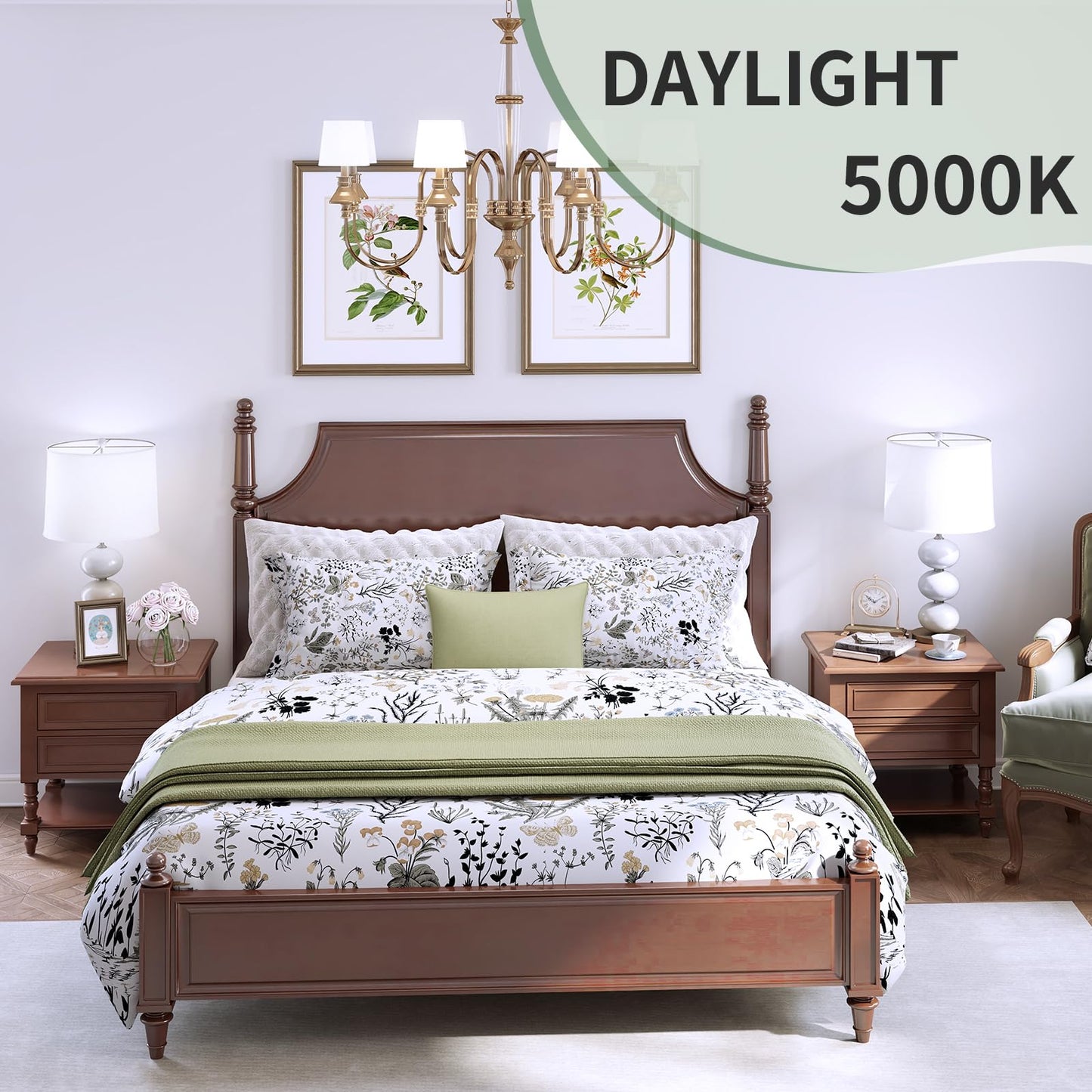 6-Pack A19 LED Light Bulbs,60 Watt Equivalent Daylight 5000K with E26 Base,Efficient 9W,800 Lumens Non-Dimmable LED Bulbs,15000 Hours, Ideal for Bedroom Living Room