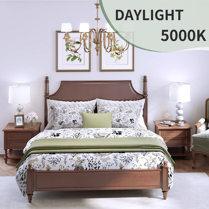 6-Pack A19 LED Light Bulbs,60 Watt Equivalent Daylight 5000K with E26 Base,Efficient 9W,800 Lumens Non-Dimmable LED Bulbs,15000 Hours, Ideal for Bedroom Living Room