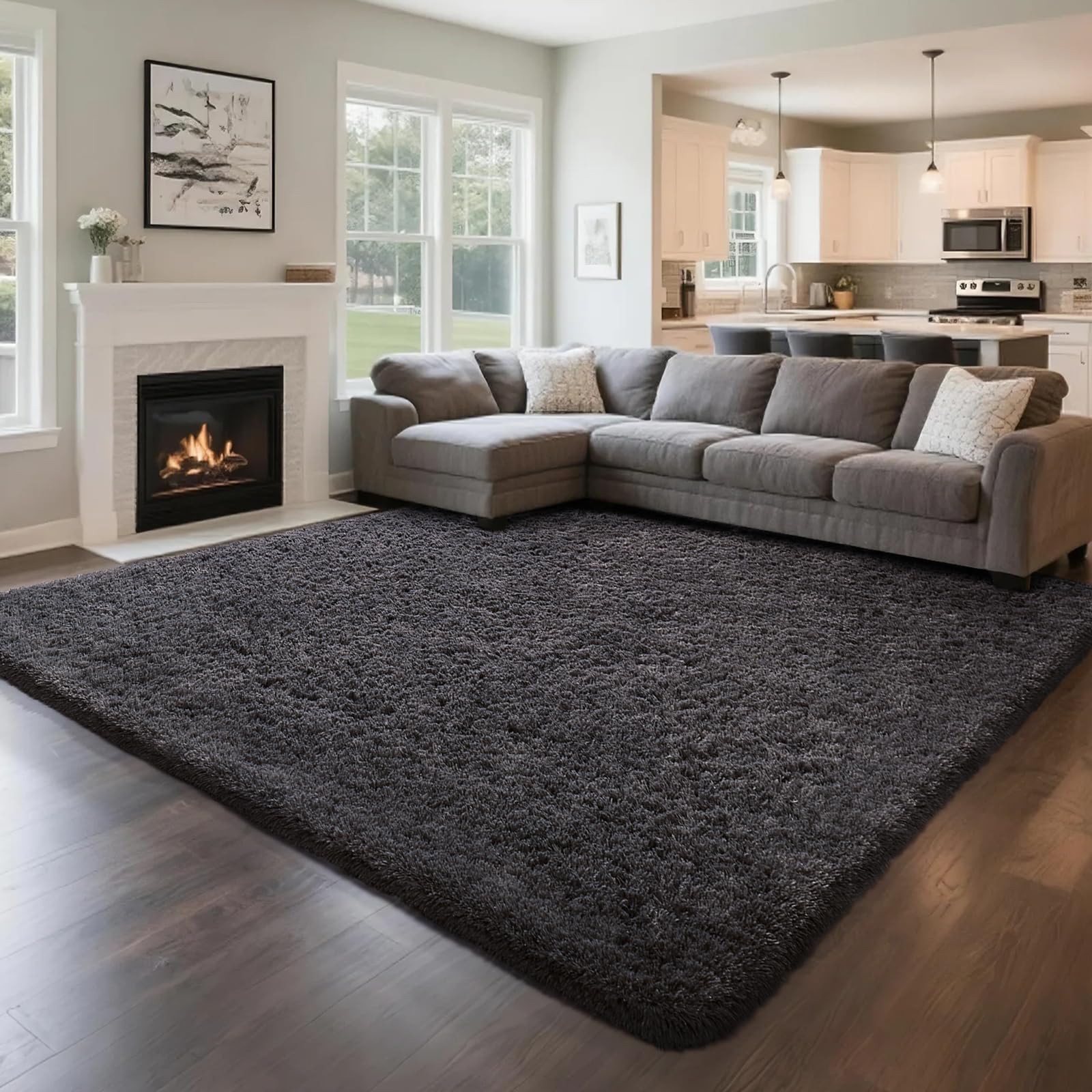 Ophanie Area Rugs for Bedroom Living Room, Grey Fluffy Fuzzy Shag Shaggy Soft Plush Carpet, 4x6 Indoor Floor Gray Rug for Kids Home Dorm Decor Aesthetic