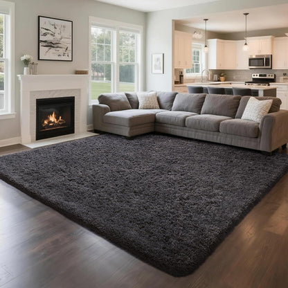 Ophanie Area Rugs for Bedroom Living Room, Grey Fluffy Fuzzy Shag Shaggy Soft Plush Carpet, 4x6 Indoor Floor Gray Rug for Kids Home Dorm Decor Aesthetic