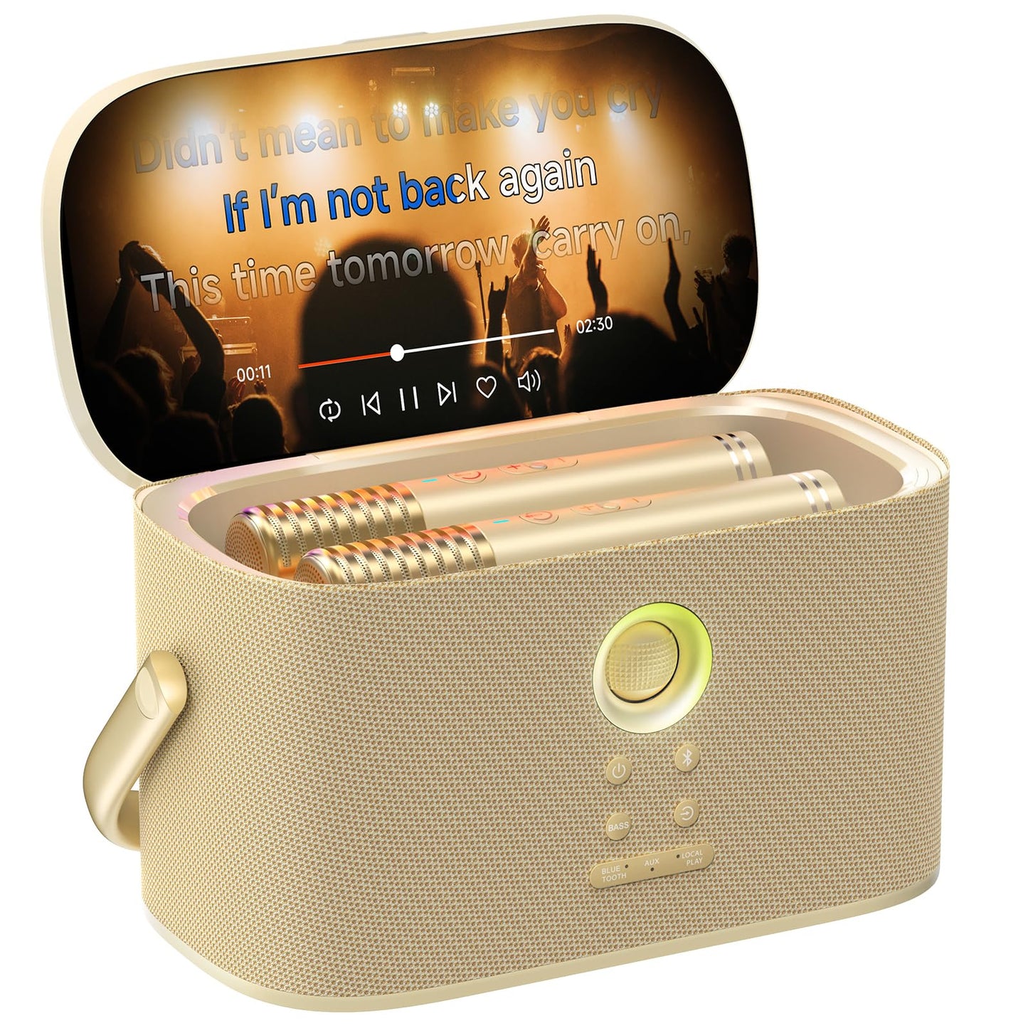 Ikarao Portable Karaoke Machine for Adults, Built-in Lyrics Display and Screen, 2 Self-Charging Wireless Microphones, Karaoke App, 140W Speaker, Connects to TV for Home Party Birthday Outdoor Camping