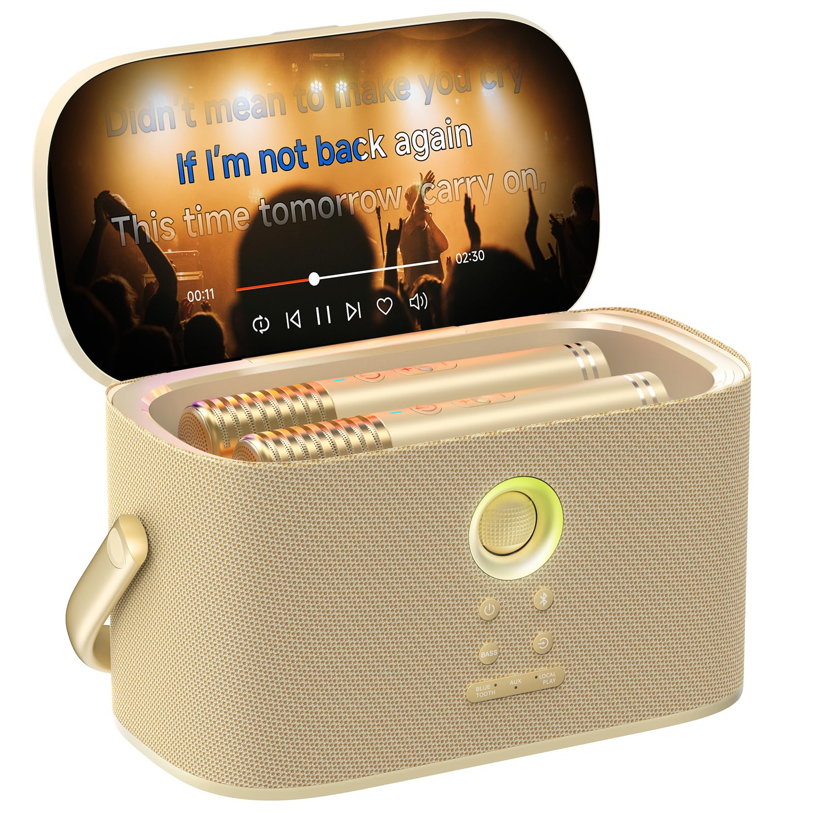 Ikarao Portable Karaoke Machine for Adults, Built-in Lyrics Display and Screen, 2 Self-Charging Wireless Microphones, Karaoke App, 140W Speaker, Connects to TV for Home Party Birthday Outdoor Camping