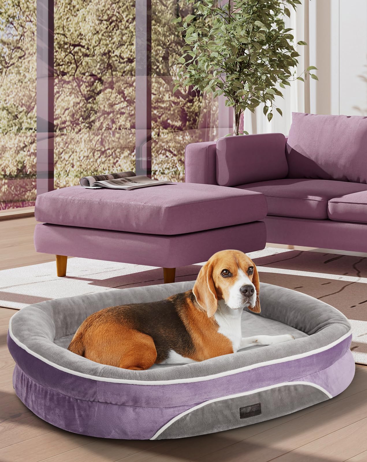 OhGeni Orthopedic Dog Bed Couch for Large Sized Pets with Egg Foam Support, Four-Sided Bolster Cushions, Soft Tear-Resistant Fabric, and Removable Machine Washable Plush Cover 35-Inch (Gray)