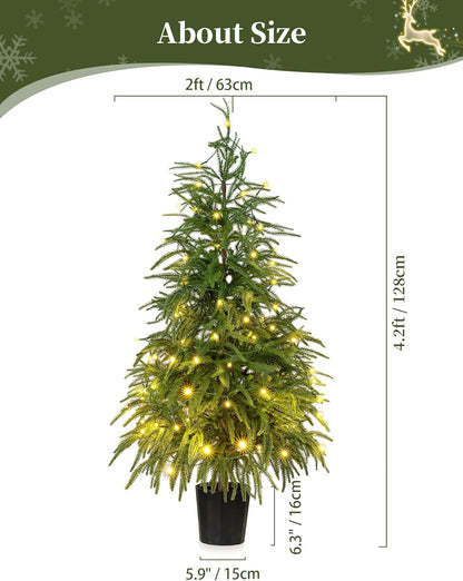 BLOSMON Outdoor Christmas Trees for Porch: 4 Ft Norfolk Pine Tree with 100 LED Lights Remote Control Timer 8 Lighting Modes - Small Artificial Cypress Trees Indoor Table Top Decor