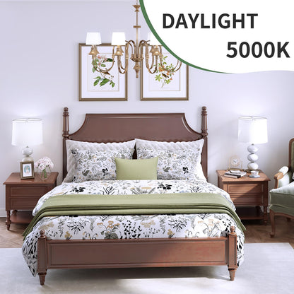 6-Pack A19 LED Light Bulbs,60 Watt Equivalent Daylight 5000K with E26 Base,Efficient 9W,800 Lumens Non-Dimmable LED Bulbs,15000 Hours, Ideal for Bedroom Living Room