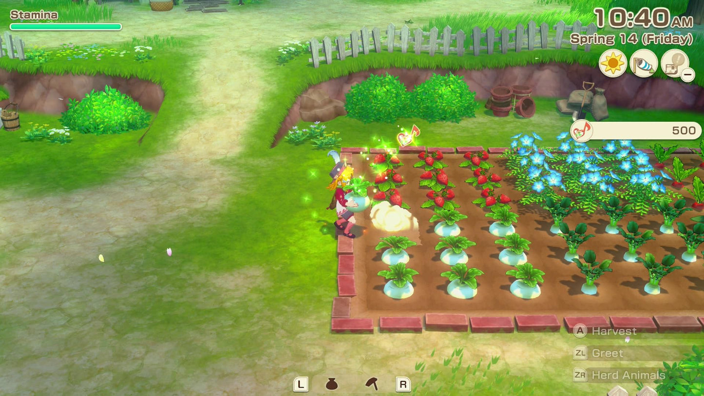 Story of Seasons Grand Bazaar Premium Edition Nintendo Switch