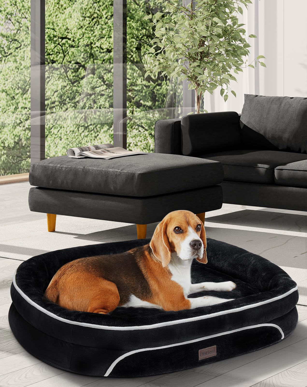 OhGeni Orthopedic Dog Bed Couch for Large Sized Pets with Egg Foam Support, Four-Sided Bolster Cushions, Soft Tear-Resistant Fabric, and Removable Machine Washable Plush Cover 35-Inch (Gray)