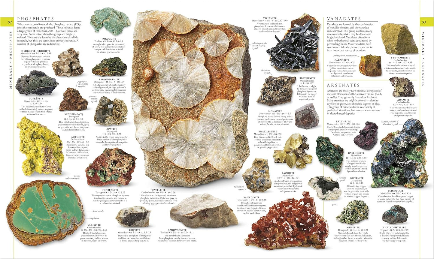 Natural History (DK Definitive Visual Encyclopedias)
