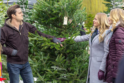 Hallmark 3-Movie Collection: Crown for Christmas / A Christmas Melody / It's Christmas, Eve