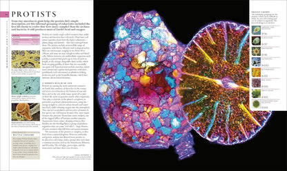 Natural History (DK Definitive Visual Encyclopedias)