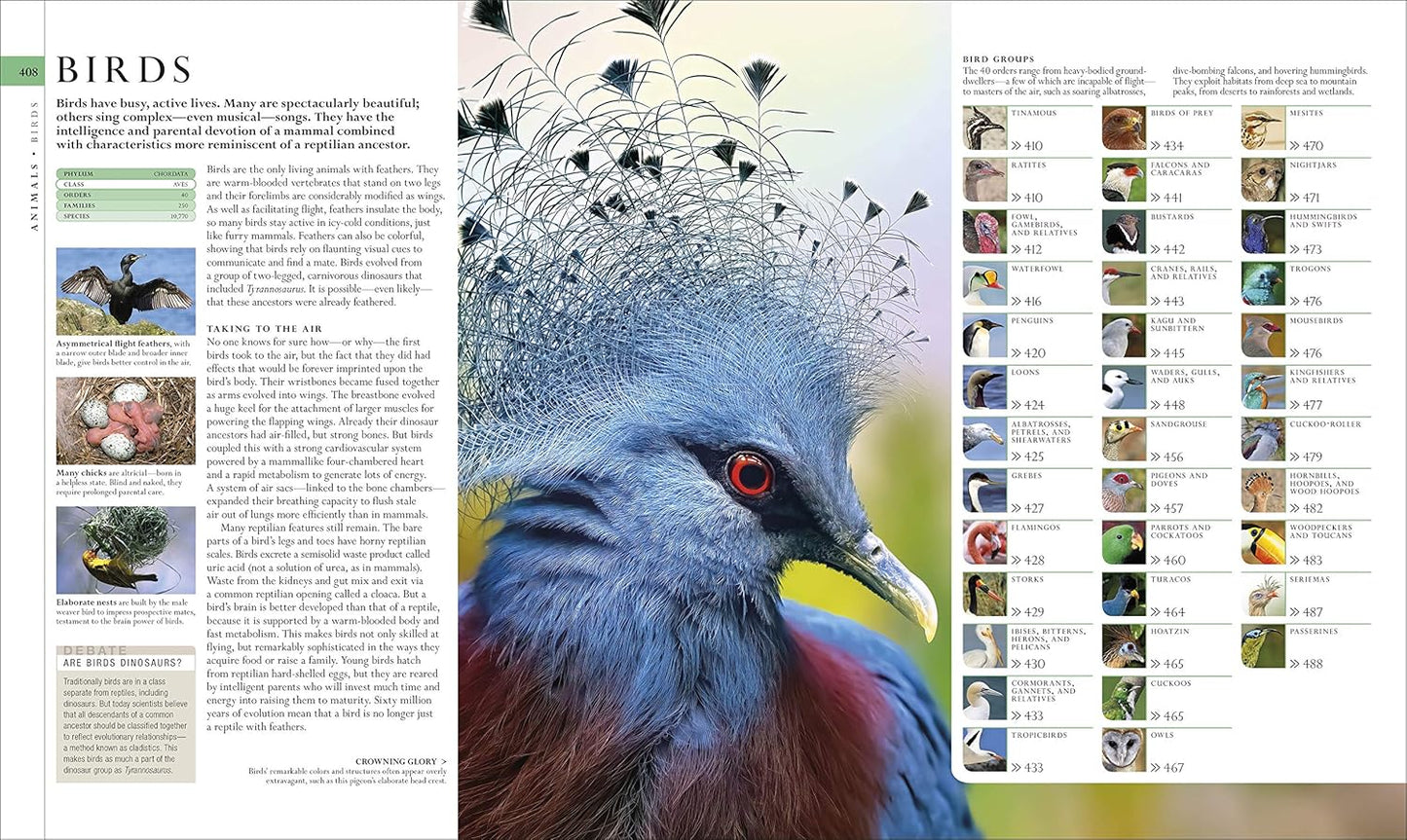 Natural History (DK Definitive Visual Encyclopedias)