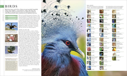 Natural History (DK Definitive Visual Encyclopedias)