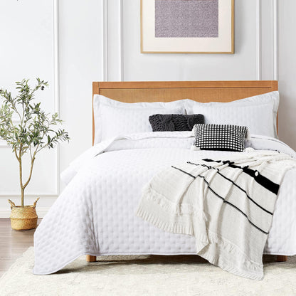 ROARINGWILD Ivory Queen Size Quilt Bedding Sets with 2 Pillow Shams, Full Cream Lightweight Soft Bedspread Coverlet, Thin Comforter Bed Cover for All Season, 3 Pieces, 90x90 inches