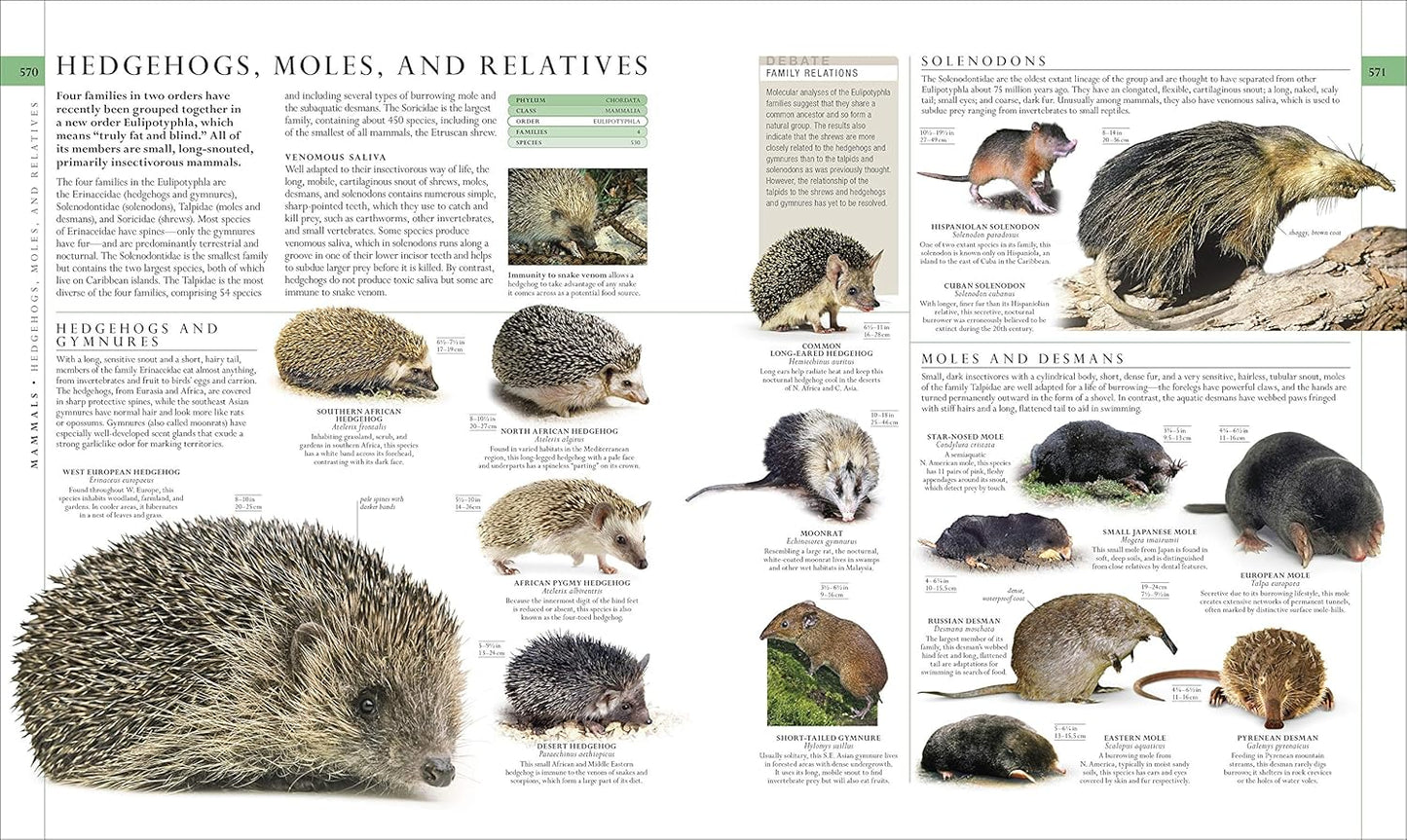 Natural History (DK Definitive Visual Encyclopedias)