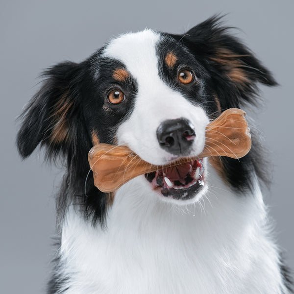 Pet Care & Supplies